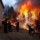 Se registra incendio forestal en California