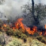 Combaten incendio forestal en la Sierra de Arteaga