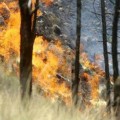 China emite alerta roja por riesgo de incendio forestal