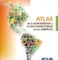 Atlas de la agroenergía y los biocombustibles en las Américas: II Biodiesel