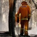 175 bomberos controlarán los incendios forestales