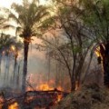 Bolivia: Campesinos queman millón y medio de hectáreas y afectan vuelos