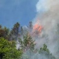 Chile envía a Bolivia expertos para apoyar el combate de los incendios forestales