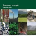 Bosques y energía – Cuestiones clave