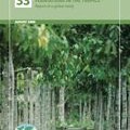 Encouraging industrial forest plantations in the tropics
