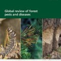 Global review of forest pests and diseases