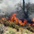 Se controla incendio en Reserva Ecológica El Ángel