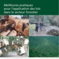 Las mejores prácticas para fomentar la observancia de la ley en el sector forestal