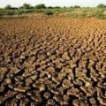 El Cuerno de África se enfrenta a su peor sequía en 60 años