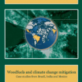 Forests and climate change in the near east region (FAO)