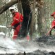 Incendio forestal quemó 20 hectáreas