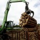 En Bolivia la exportación de madera tuvo un descenso del 25% hasta el mes de junio