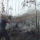 En Cuenca incendio reduce a cenizas 60 hectáreas de un bosque
