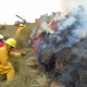 Los incendios forestales han destruido 1.500 hectáreas de bosques en Pichincha y Azuay