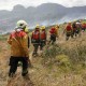 Ecuador creará equipo de bomberos forestales con ayuda de Chile
