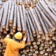 China se convierte en la tabla de salvación de la industria maderera
