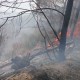 Dos reservas naturales están amenazadas por la voracidad del fuego forestal