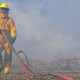 Incendios forestales aterrorizan a Quito