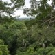 Ministra Aguiñaga se une a la conmemoración de un millón de hectáreas de bosques