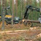 Chile: Gobierno ingresa proyecto clave para subir plantaciones forestales