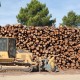 El comercio de madera hacia la Unión Europea