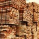 Licencias certificarán legalidad de madera para exportación a la UE