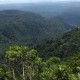 20 mil hectáreas se restaurarán con Socio Bosque