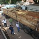 Doscientos detenidos en América Latina en operación contra tráfico de madera (Interpol)