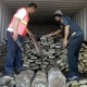 Interpol decomisa $ 40 millones en madera ilegal en Latinoamérica