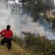 Incendio forestal en La Gasca