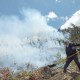 Incendios forestales prenden alertas en el Azuay