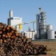 Uruguay renueva autorización ambiental para planta de celulosa de UPM
