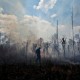 La colaboración tripartita es clave para el control de incendios en la Amazonía – estudio