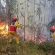 18002424 para denunciar incendios forestales