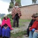 Beneficios e impactos socioeconómicos del programa de forestación de PROFAFOR en tres comunidades indígenas del cantón Guamote, Chimborazo