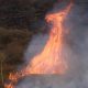 El Fuego ha consumido 2074 hectáreas de bosques andinos