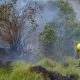 Dos incendios forestales registrados en Riobamba y Latacunga