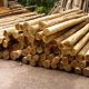 La historia y el uso de la madera de eucalipto