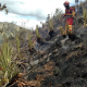 Emergencia en el Parque Nacional Cajas por incendio forestal