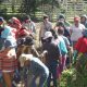 Resurge la agricultura urbana en Quito