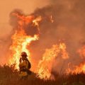 Incendio forestal en California- Estados Unidos
