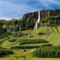 Islandia está reforestando sus bosques