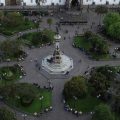 La ciudad de Quito cuenta con 448 árboles patrimoniales