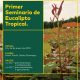 El Eucalipto Tropical, una especie del futuro para el sector forestal del Ecuador
