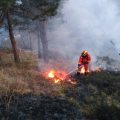 Cantabria lucha contra 17 incendios forestales activos