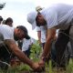 1000 árboles nativos fueron plantados en la Reserva Geobotánica Pululahua