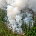 Incendios forestales a nivel mundial aceleran el cambio climático