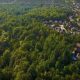 La ONU propone crear bosques urbanos para hacer frente al cambio climático